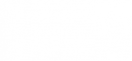 Logo Association chiropratique canadienne